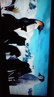 �`���E�T��