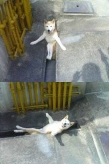 �C���b�C������˂�I